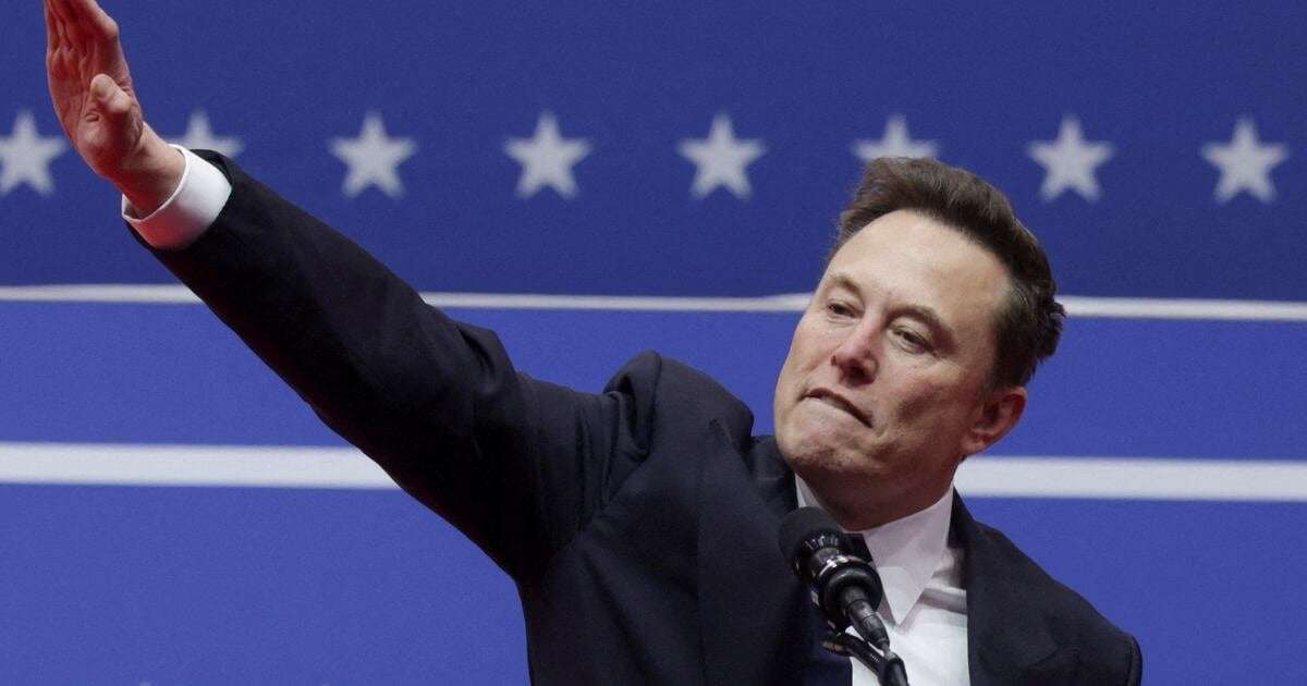 image for Democrats Go After Humiliated Musk With Salute Attack Ad