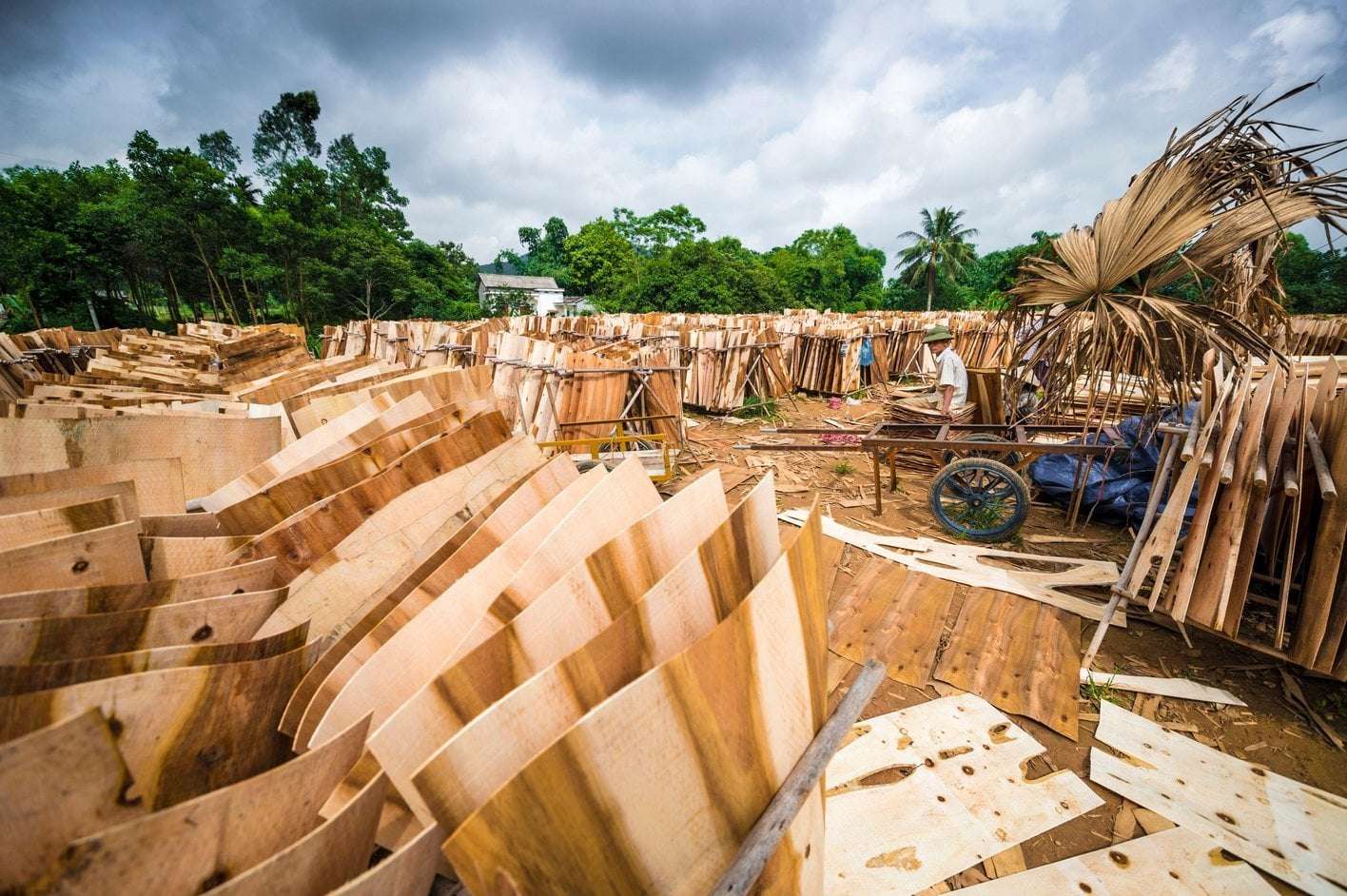image for Trump’s New Tariffs Will Cause Building Material Costs to Spike