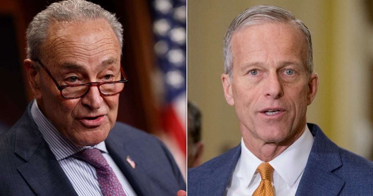 image for 'Dumbest' Recession Ever: Democrats Prepare To Make GOP Pay For Trump’s Tariffs