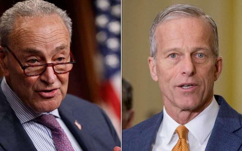 image for 'Dumbest' Recession Ever: Democrats Prepare To Make GOP Pay For Trump’s Tariffs