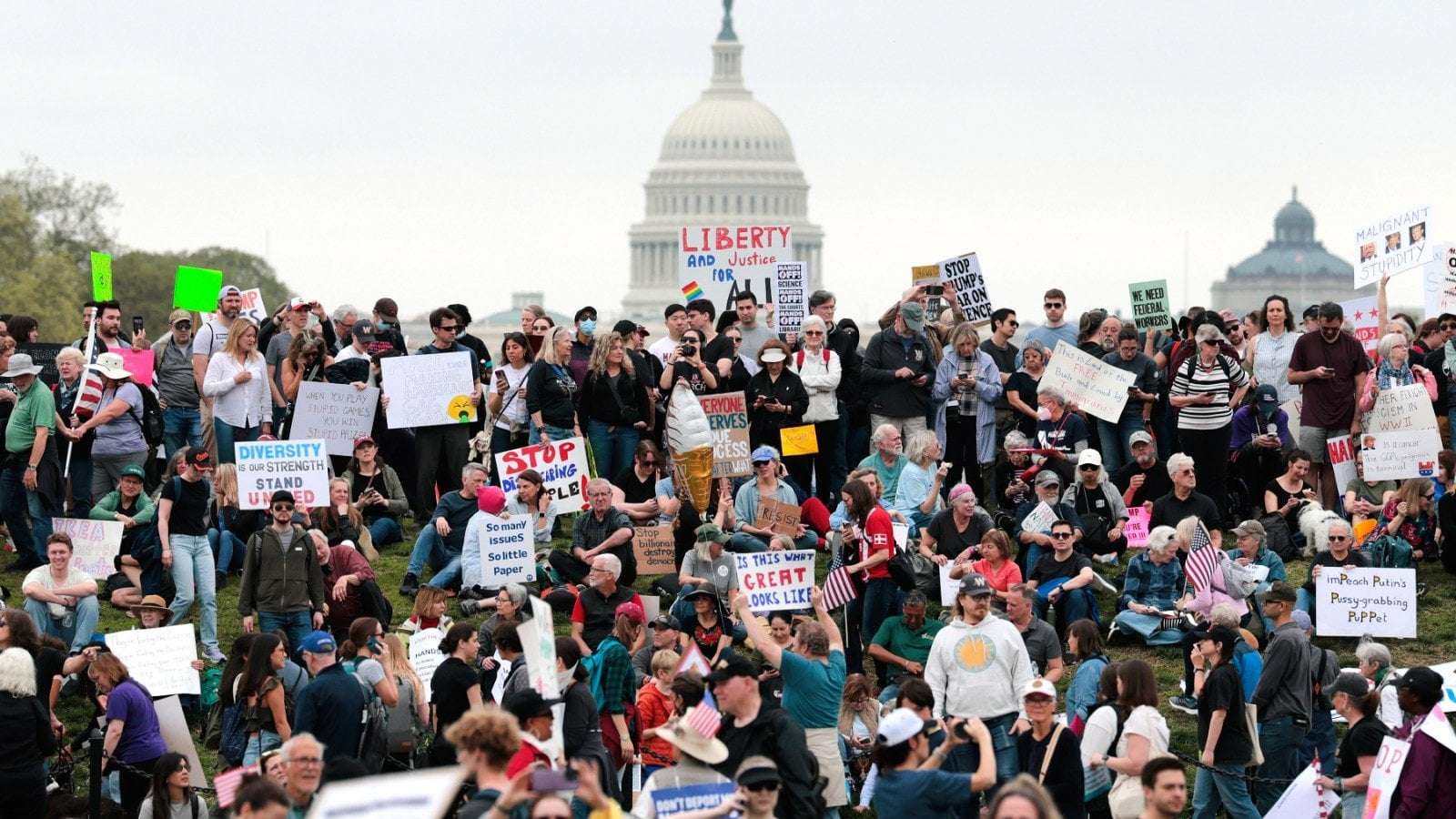 image for Anti-Trump Protesters Assemble in Every State and Cities Worldwide