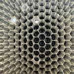 image for My wife took this amazing photo of an empty honey comb frame after we finished extracting honey