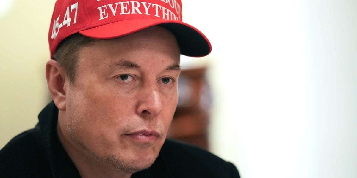 image for Elon Musk's zero-tariff proposal with Europe is a sign of weakness and fear, German economy minister says