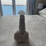 image for Towel animal that housekeeping left for me
