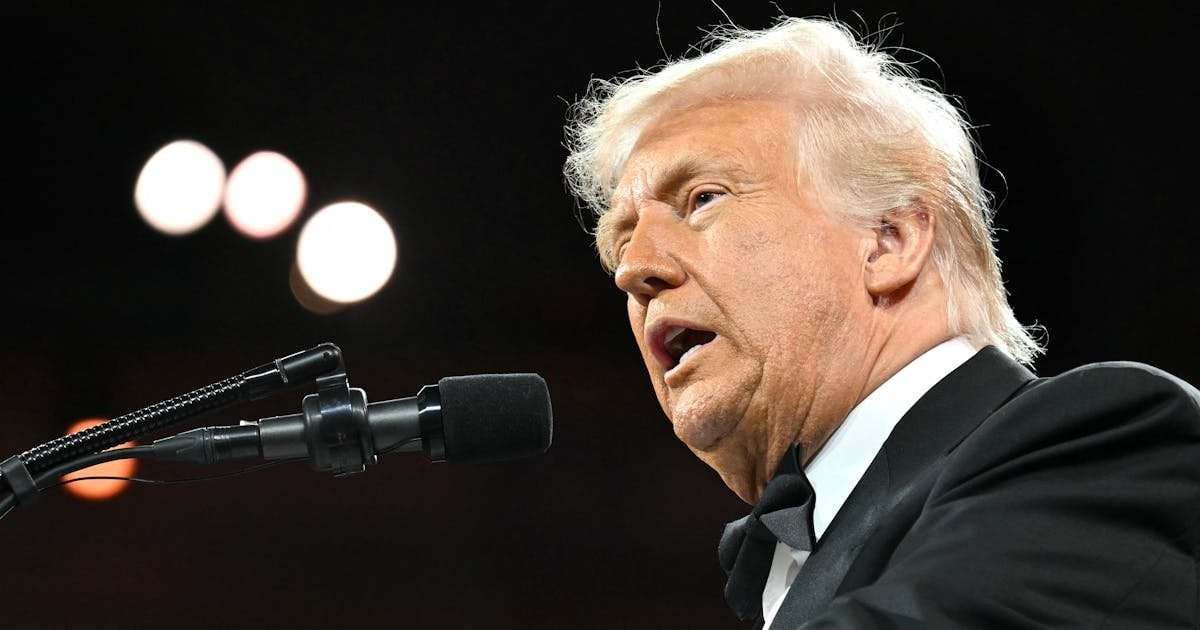 image for Fund Managers Worry Trump Might Be “Insane”