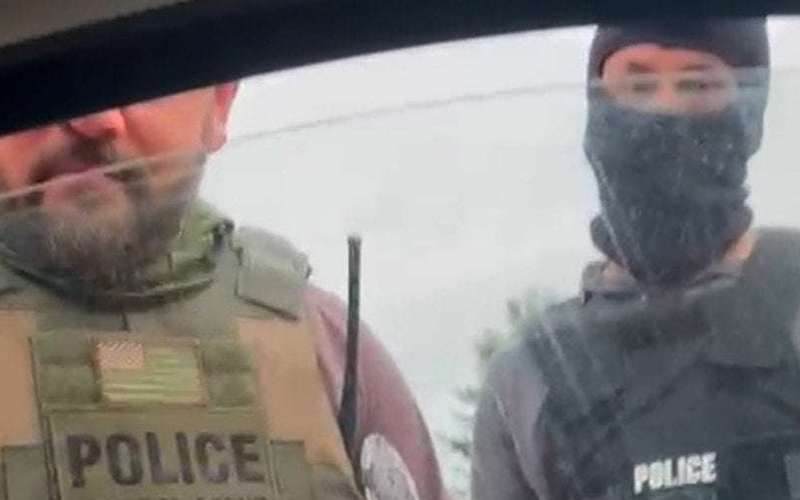 image for Rejected at her door, ICE nabs a Maryland woman in her car after smashing her window