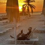 image for Sunsetting Humanity