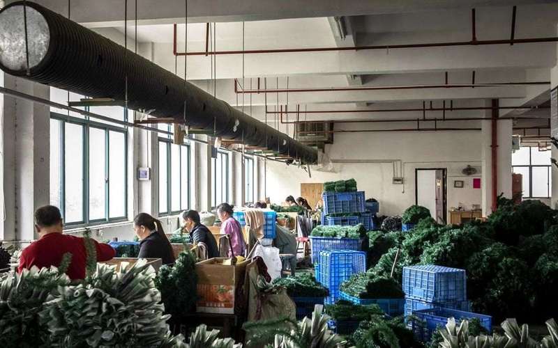 image for Trump’s Trade War Is Strengthening China’s Soft Power