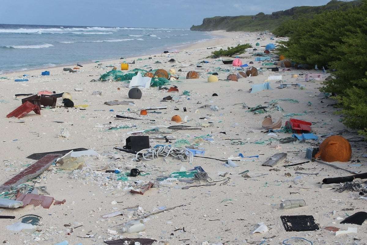image for Australia sees nearly 40% decline in plastic pollution along major city coastlines