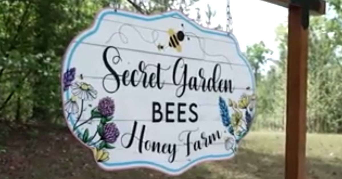 image for MAGA Beekeeper Admits Trump Tariffs Have Cost Him Half His Business