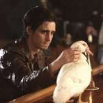 image for The guy at the port responsible for collecting tariffs.