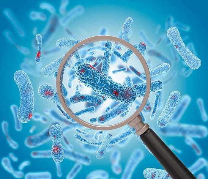 image for New class of antibiotics discovered 30 years after the last — Hive