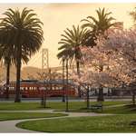 image for The San Francisco they won’t show you on Fox News