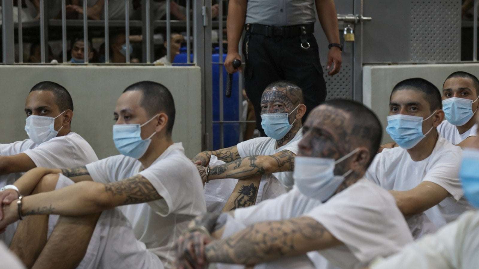 image for Trump Admin Tells Judge It Doesn’t Have to Bring Back Man It Illegally Shipped to El Salvador