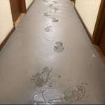 image for Asked the squaddies if anyone wanted to get out before we latexed the floor….