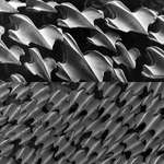 image for Shark skin under electron microscope