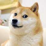 image for Pepperidge Farm remembers when this was Doge.
