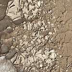 image for Things I find neat day 145; mud curling up as it dries, wish I knew why it does that