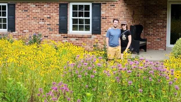 image for 'Meadowscaping': The people turning their lawns into meadows
