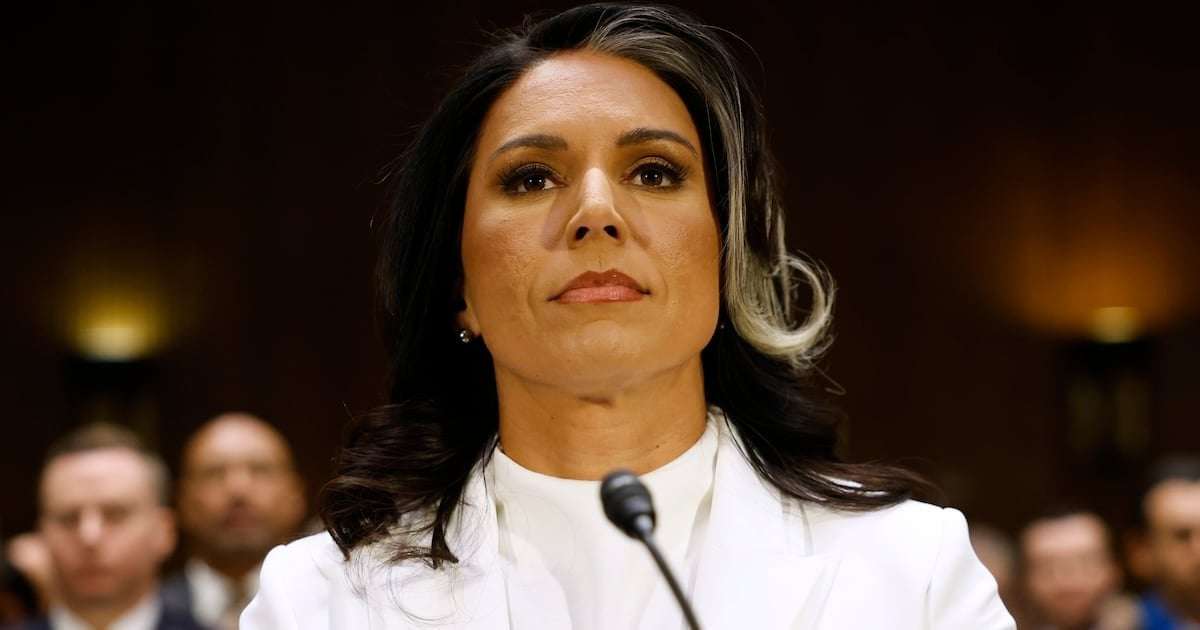 image for Tulsi Gabbard Tries to Blame Signalgate on Biden