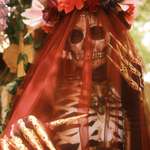 image for My husband took a picture of my Vanitas costume