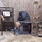 image for My mom sleeping on a tipped over shopping cart in 2017 when we were still homeless (OC)