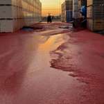 image for Several million lbs. Diced tomatoes.