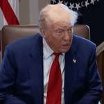 image for I think this should pop up when you google DJT