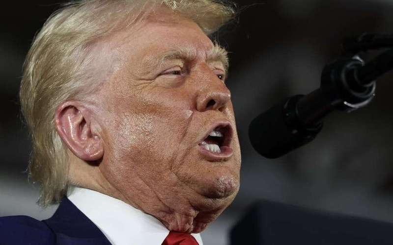 image for How Trump Accidentally Sabotaged His Own Case Against Abrego Garcia