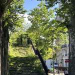image for Overgrown stairs in Paris