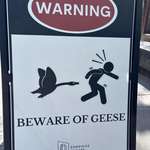 image for Typical Canadian warning sign [OC]