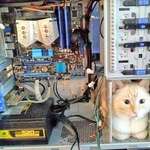image for I think something wrong here…