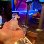 image for Was served drinks supporting the local animal shelter featuring delightful dog shaped ice cubes!