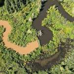 image for This drone photo was taken during a heavy rainstorm. A beaver dam is blocking dirty water.
