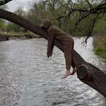 image for My sister, studying to become a wildlife biologist, says, “A sloth occupies this area”