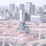 image for [OC] Osaka Castle in infrared