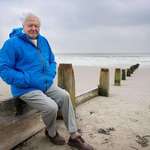 image for Sir Attenborough turns 99 today. Here’s a photo of him filming Ocean — the man, the myth, the voice
