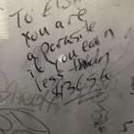 image for Found on the Staten Island Ferry - "To Elon you are a parasite if you earn less than $365k"