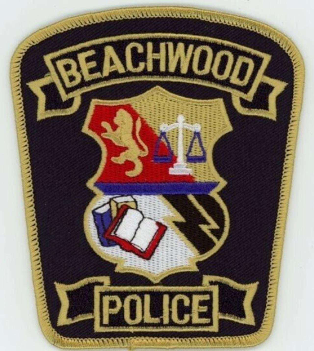 image for Man checks out 100 books from Beachwood Library, then burns them in social media post
