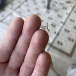 image for Was scrolling Reddit and was attacked by a viscious predator. Safely released back into the wild.