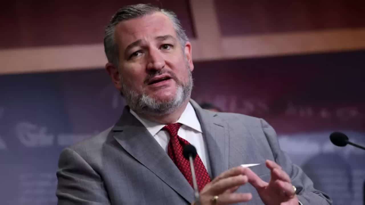 image for Ted Cruz Mocked for Declaring Birthright Citizenship is a 'Terrible Policy': 'Bold Statement When He Benefited From It'