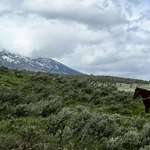 image for Cowboy in the Tetons (OC)
