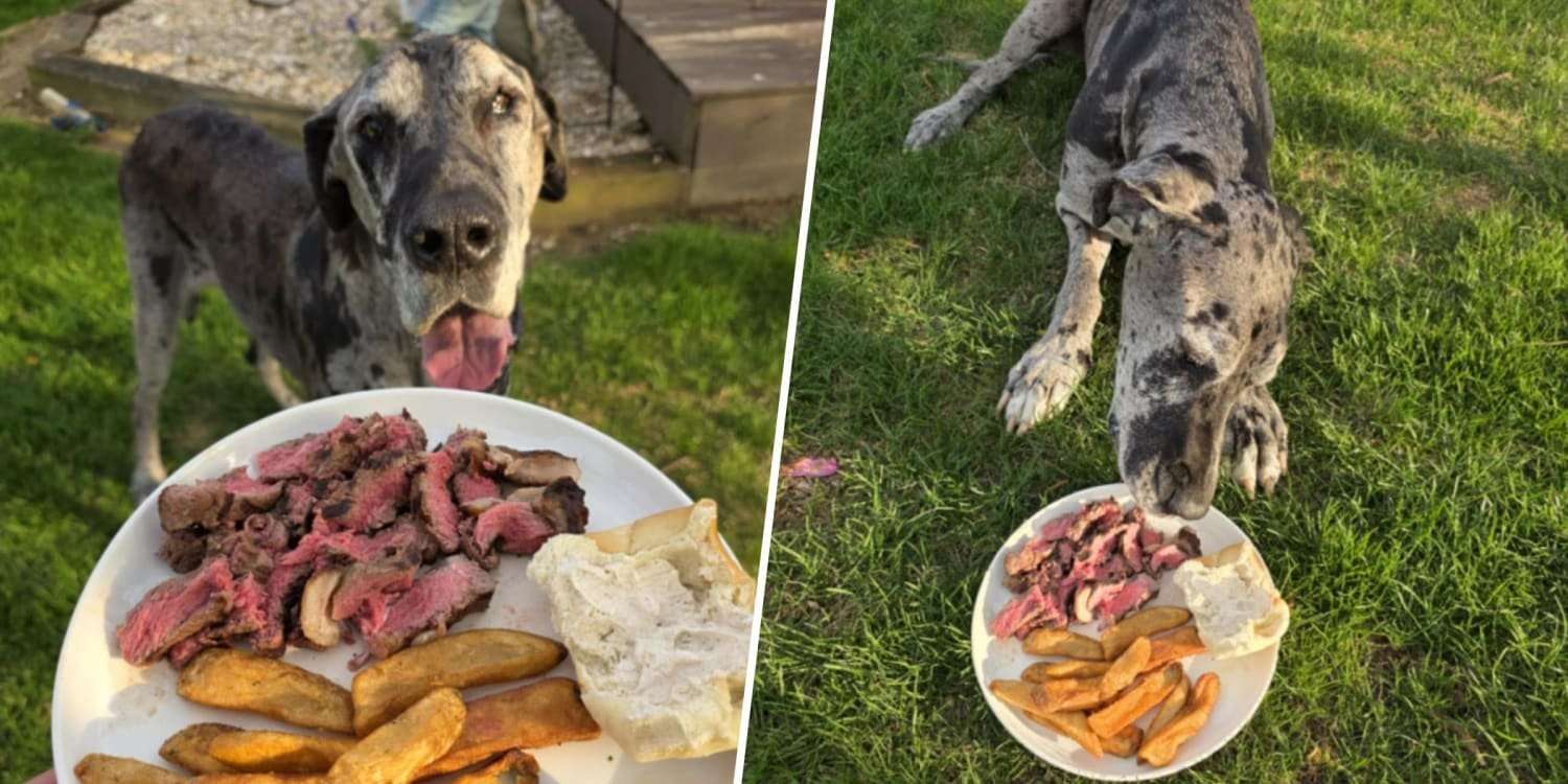 image for Texas Roadhouse Makes Dog’s Last Meal Special