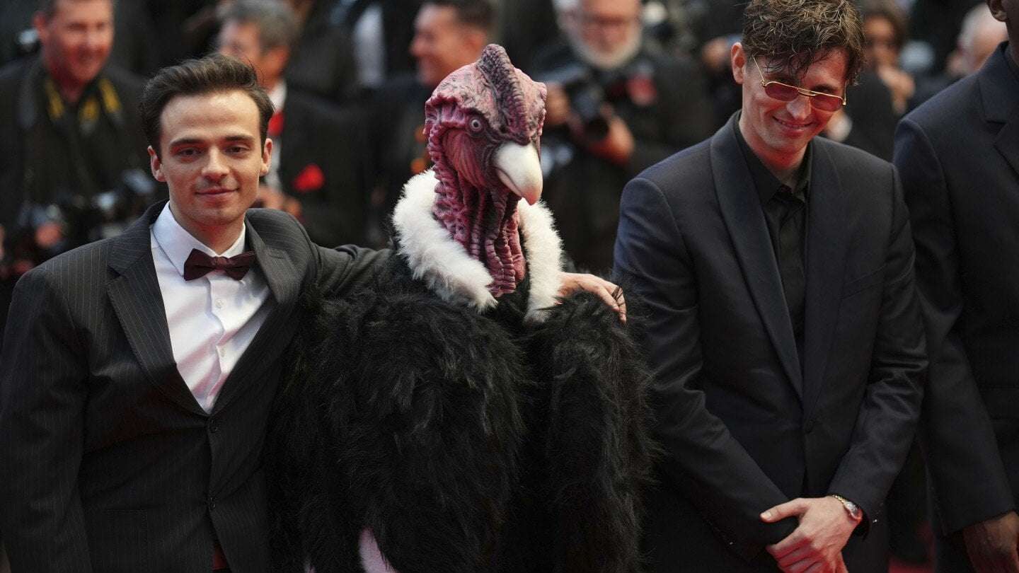 image for Bird man on red carpet leaves Cannes squawking