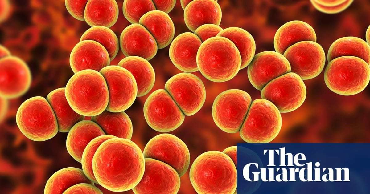 image for ‘World-first’ gonorrhoea vaccine to be rolled out in England