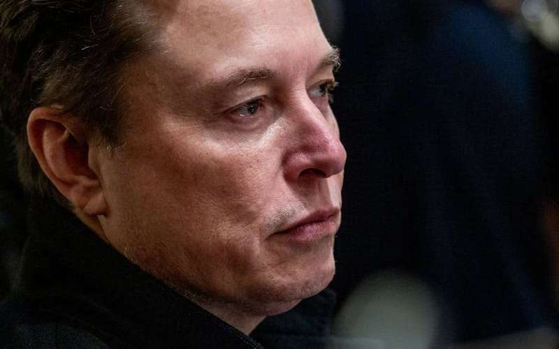 image for “F**k You”: Entire Trump Team Hated Elon Musk, Damning Report Reveals