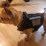 image for Tactical chaos potato