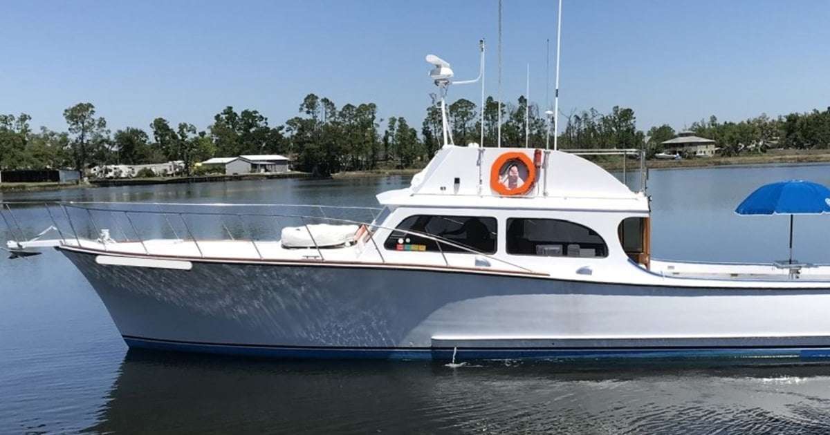 image for Florida man who shot and poisoned dolphins sentenced to 1 month