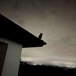image for Owl just outside my bedroom last night