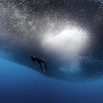 image for One in a lifetime shot.